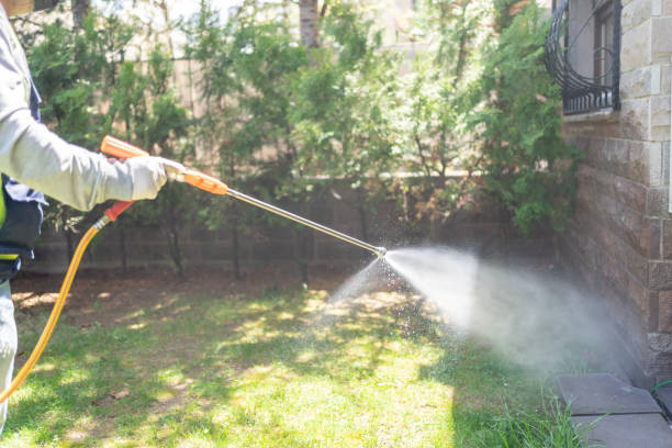 Best Commercial Pest Control  in Millington, NJ